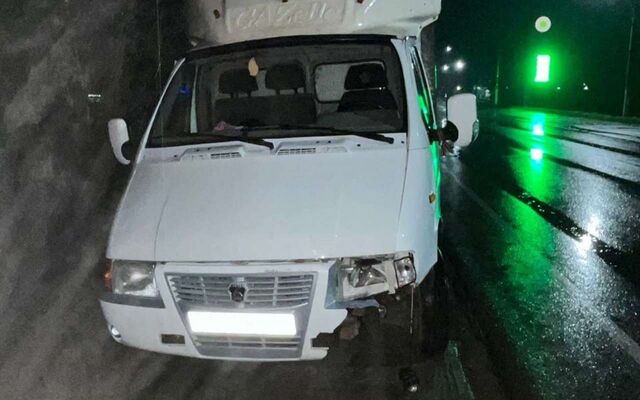 Смертельное ДТП: пешеход погиб под колесами грузовика ночью в Воронежской области - Обозреватель.Врн, 30.10.2025