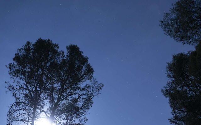 Опасность атаки БПЛА объявили в Воронежской области 31 октября Опасность атаки БПЛА объявили в Воронежской области 31 октября - Обозреватель.Врн, 31.10.2025