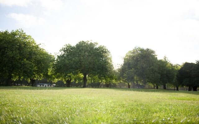 В два раза увеличат площадь ОЭЗ «Центр» в Воронежской области - Обозреватель.Врн, 03.11.2025