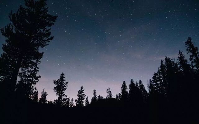 Более 40 беспилотников в День народного единства сбили над Воронежской областью - Обозреватель.Врн, 04.11.2025