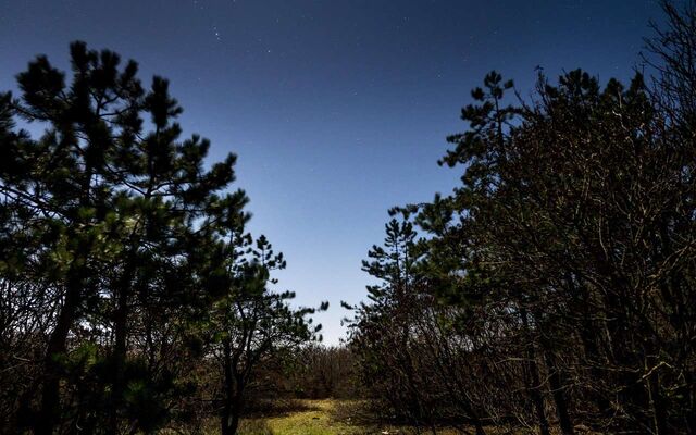 Ночная БПЛА-опасность продлилась более 8 часов в Воронежской области - Обозреватель.Врн, 05.11.2025