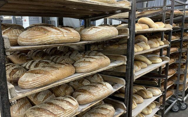 «Бизнес Миссия»: «ЭкоХлеб» открыл двери для молодых предпринимателей в рамках проекта Сбера - Обозреватель.Врн, 07.11.2025