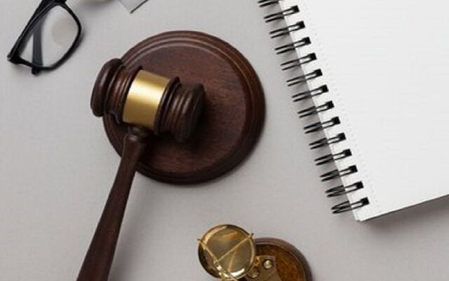 Сбивший котенка водитель ответит в суде в Воронежской области - Обозреватель.Врн, 07.11.2025