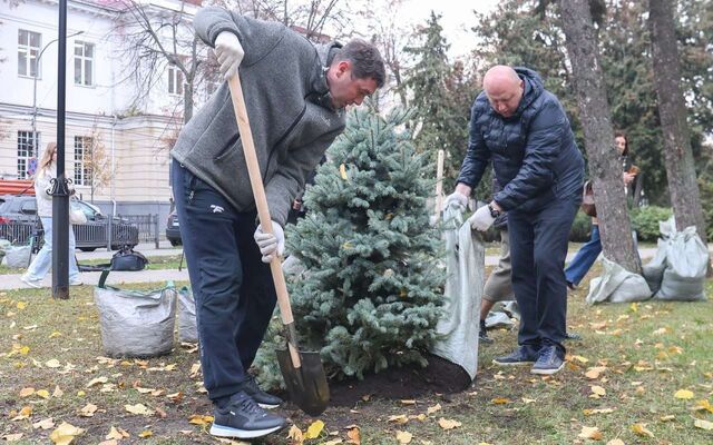 Мэр Сергей Петрин принял участие в высадке деревьев в сквере Никитина в Воронеже Мэр Сергей Петрин принял участие в высадке деревьев в сквере Никитина в Воронеже - Обозреватель.Врн, 07.11.2025