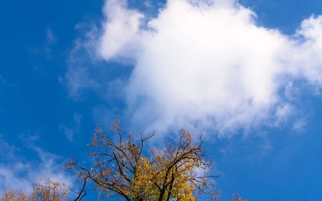 Более 9 часов украинские беспилотники пытались атаковать Воронежскую область - Обозреватель.Врн, 08.11.2025