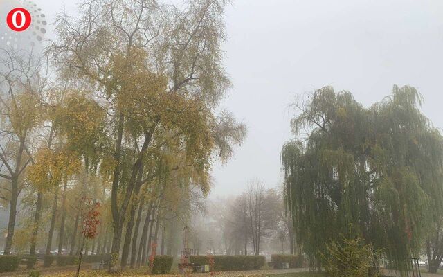 На 12 часов продлили желтый уровень погодной опасности в Воронежской области - Обозреватель.Врн, 09.11.2025