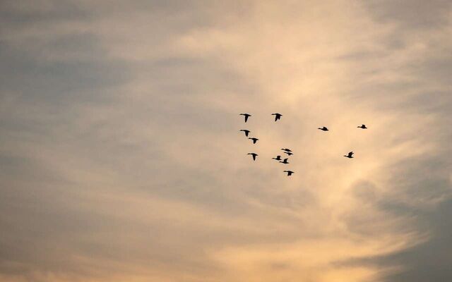 Ракетная опасность действовала минувшей ночью в Воронежской области - Обозреватель.Врн, 09.11.2025
