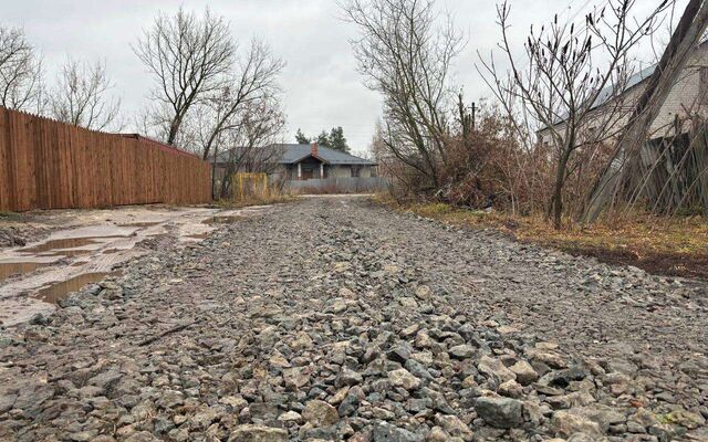 Бешенство выявили в селе Можайское под Воронежем - Обозреватель.Врн, 12.11.2025