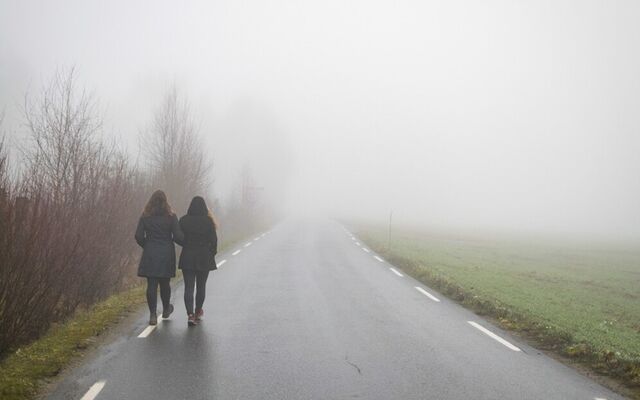 С начала года 229 детей пропали без вести в Воронежской области - Обозреватель.Врн, 18.11.2025