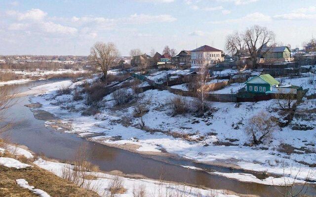 До 19 выросло число выявленных с начала года очагов бешенства в Воронежской области - Обозреватель.Врн, 11.03.2026