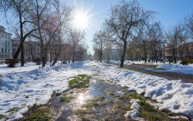 По-весеннему теплые выходные ждут воронежцев - Обозреватель.Врн, 13.03.2026