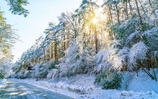 Снежной окажется новая рабочая неделя в Воронеже - Обозреватель.Врн, 16.03.2026
