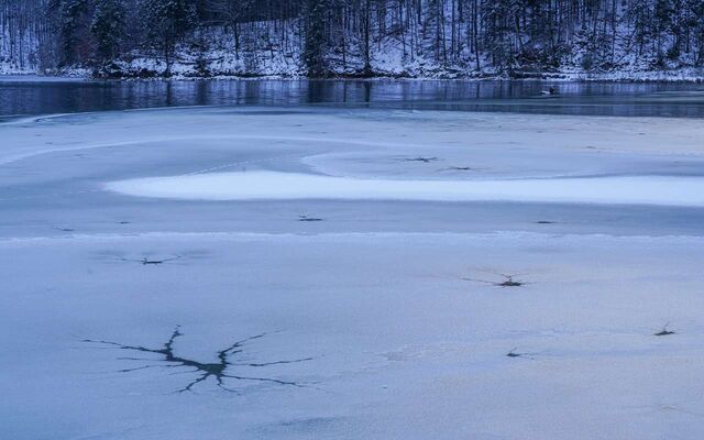 Женщина провалилась под лед в центре Воронежа - Обозреватель.Врн, 16.03.2026