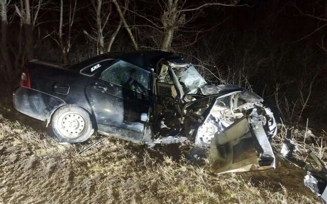 Пострадали два человека: водитель «Лады» съехал в кювет и врезался в дерево в Воронежской области - Обозреватель.Врн, 16.03.2026