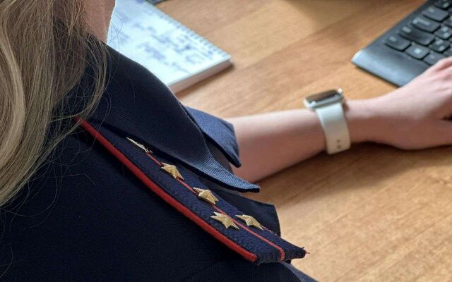 Следователи возбудили уголовное дело из-за разбитой дороги под Воронежем - Обозреватель.Врн, 17.03.2026