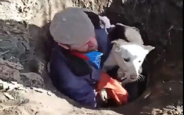 Мужчина спас провалившуюся в колодец собаку в Воронеже - Обозреватель.Врн, 11.04.2026