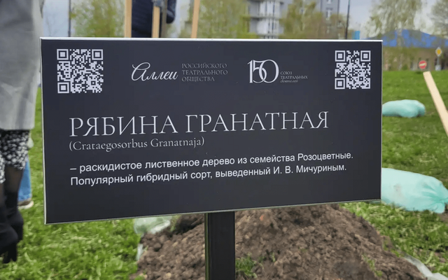 Аллея Российского театрального общества появилась в Воронеже - Обозреватель.Врн, 29.04.2026