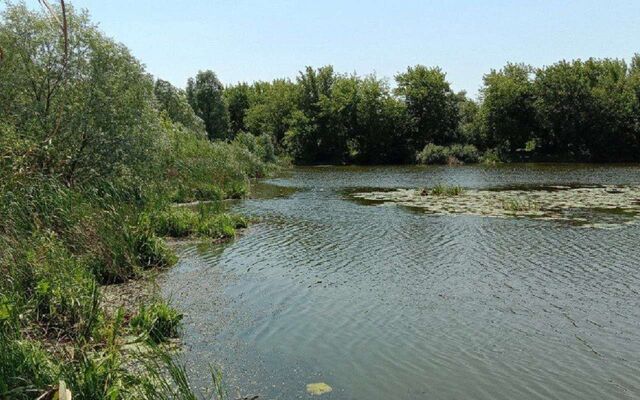 Превышение аммония выявили специалисты в водоемах Воронежской области - Обозреватель.Врн, 29.05.2026