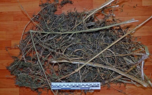 Свыше 420 граммов конопли изъяли у жителя Воронежской области - Обозреватель.Врн, 15.06.2026