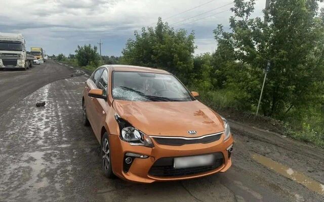 Водитель Kia Rio сбила насмерть мужчину на трассе «Воронеж – Луганск» - Обозреватель.Врн, 18.06.2026