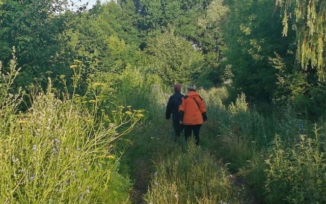 О поисках пропавшей без вести пенсионерки рассказали воронежцам - Обозреватель.Врн, 11.07.2026