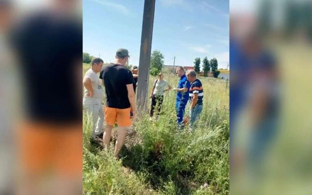 Лежавшую без сил в траве 80-летнюю пенсионерку нашли воронежские полицейские и волонтеры - Обозреватель.Врн, 14.07.2026