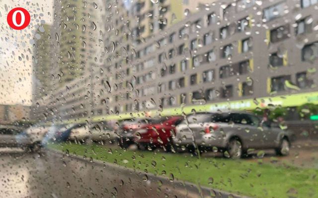 Рекордно дождливой окажется последняя неделю июля в Воронеже - Обозреватель.Врн, 27.07.2026