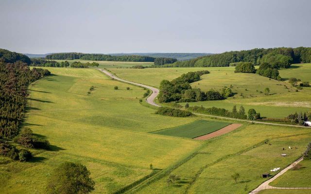 Почти 1000 га земли из частной собственности изъяли воронежские прокуроры - Обозреватель.Врн, 28.07.2026