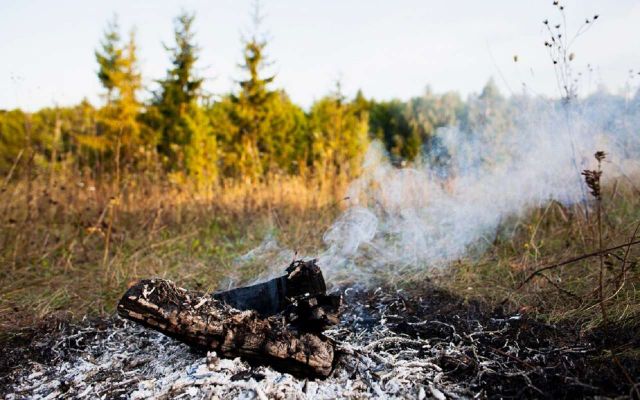 Названы районы Воронежской области с V классом пожарной опасности - Обозреватель.Врн, 15.08.2026