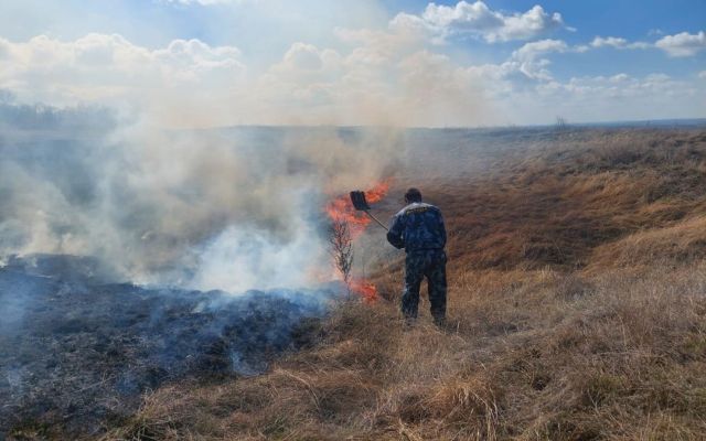 Резко сократилось число районов с V классом пожарной опасности в Воронежской области - Обозреватель.Врн, 06.09.2026