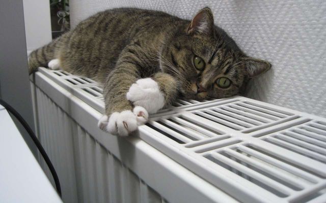 Отопительный сезон стартует 15 октября в Воронеже - Обозреватель.Врн, 12.10.2026