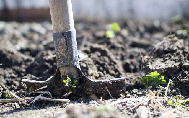 На 161 тысячу обманул туляк при продаже сельхозоборудования воронежца - Обозреватель.Врн, 24.10.2026