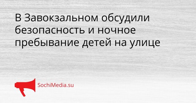 В Завокзальном обсудили безопасность и ночное пребывание детей на улице - SochiMedia, 23.03.2026