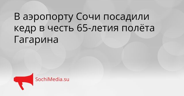 В аэропорту Сочи посадили кедр в честь 65-летия полёта Гагарина - SochiMedia, 10.04.2026