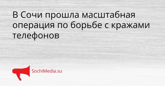 В Сочи прошла масштабная операция по борьбе с кражами телефонов - SochiMedia, 25.05.2026