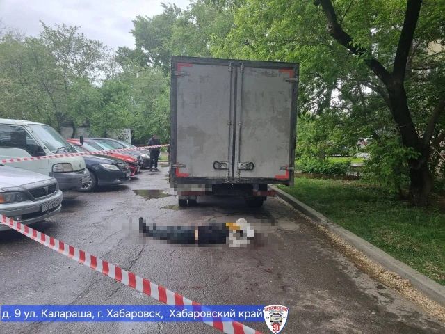Водитель грузовика, насмерть задавивший пенсионерку, был под наркотиками - Губерния l Хабаровск, 29.07.2026