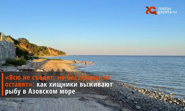 Осолонение Азовского моря в акватории Ростовской области приводит к снижению численности рыб. Об этом нашему корреспонденту рассказал зоолог ДГТУ Александр Евсюков. - Ростов Газета | Новости Ростова-на-Дону, 10.03.2026