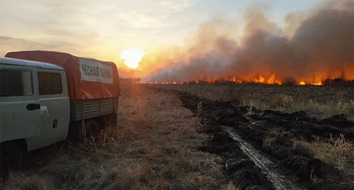 Первый округ Челябинской области ввел особый противопожарный режим Первый округ Челябинской области ввел особый противопожарный режим - Агенство новостей Доступ, 05.04.2026