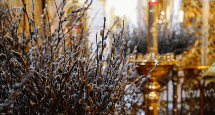 Вербное воскресенье: главное про праздник Вход Господень в Иерусалим Вербное воскресенье: главное про праздник Вход Господень в Иерусалим - Агенство новостей Доступ, 05.04.2026