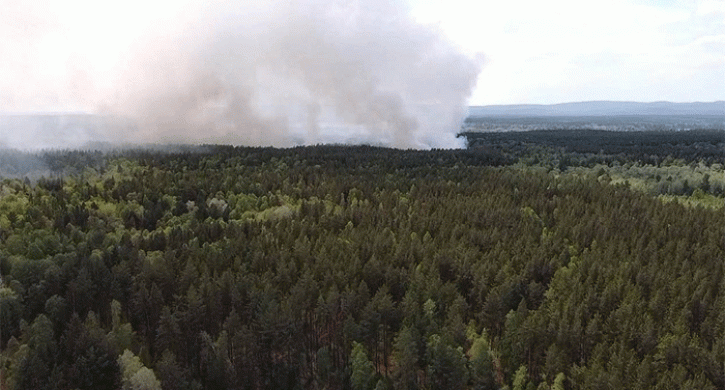 В Челябинской области за выходные ликвидировали 14 лесных пожаров - Агенство новостей Доступ, 20.04.2026