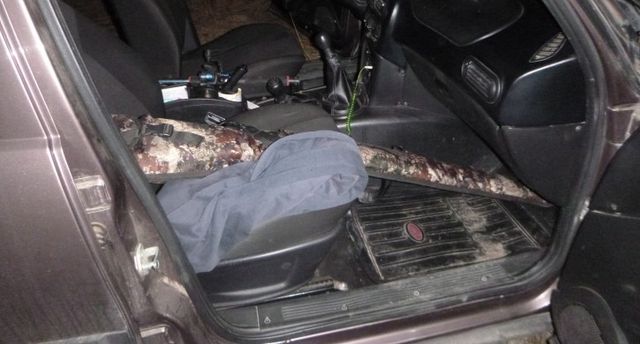 Браконьера с тушей косули поймали в Нагайбакском округе - Агенство новостей Доступ, 03.09.2026