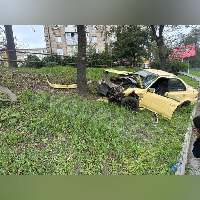Капот в хлам: во Владивостоке спорткар влетел в дерево - PRIMPRESS, 02.10.2023