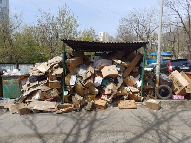 «Замкнутый круг». Владивостокцы пожаловались на горы мусора у жилого дома - PRIMPRESS, 03.05.2024