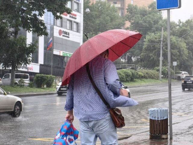 Дожди и грозы прогнозируют синоптики в Приморье - PRIMPRESS, 27.07.2024