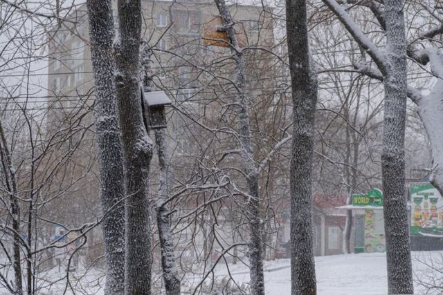 Владивосток готовится к непогоде - PRIMPRESS, 09.01.2025