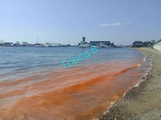«Кровавое море»: владивостокцев снова напугал красный прилив - PRIMPRESS, 16.05.2025