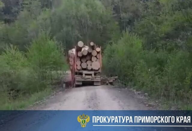 Прокуратура Приморья взялась за главу района, в котором обрушился очередной мост - PRIMPRESS, 23.05.2025