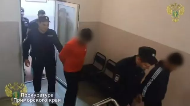 Прокуратура оспорила приговор мигрантам-насильникам во Владивостоке - PRIMPRESS, 27.05.2025