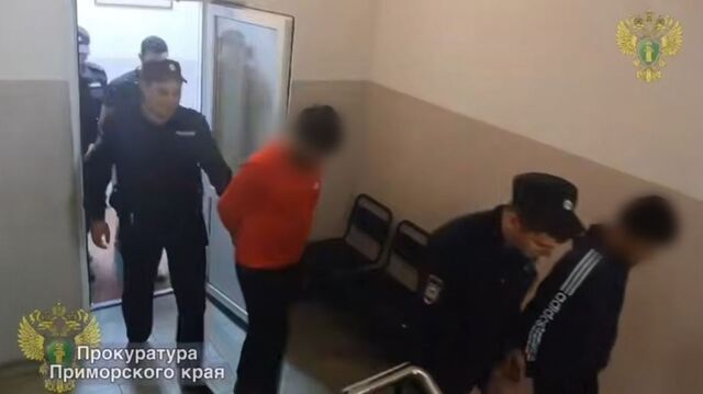 Прокуратура оспорила приговор мигрантам-насильникам во Владивостоке - PRIMPRESS, 27.05.2025