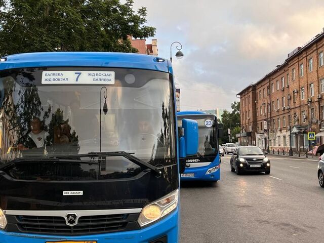 Облава на автобусников прошла в Приморском крае - PRIMPRESS, 14.06.2025